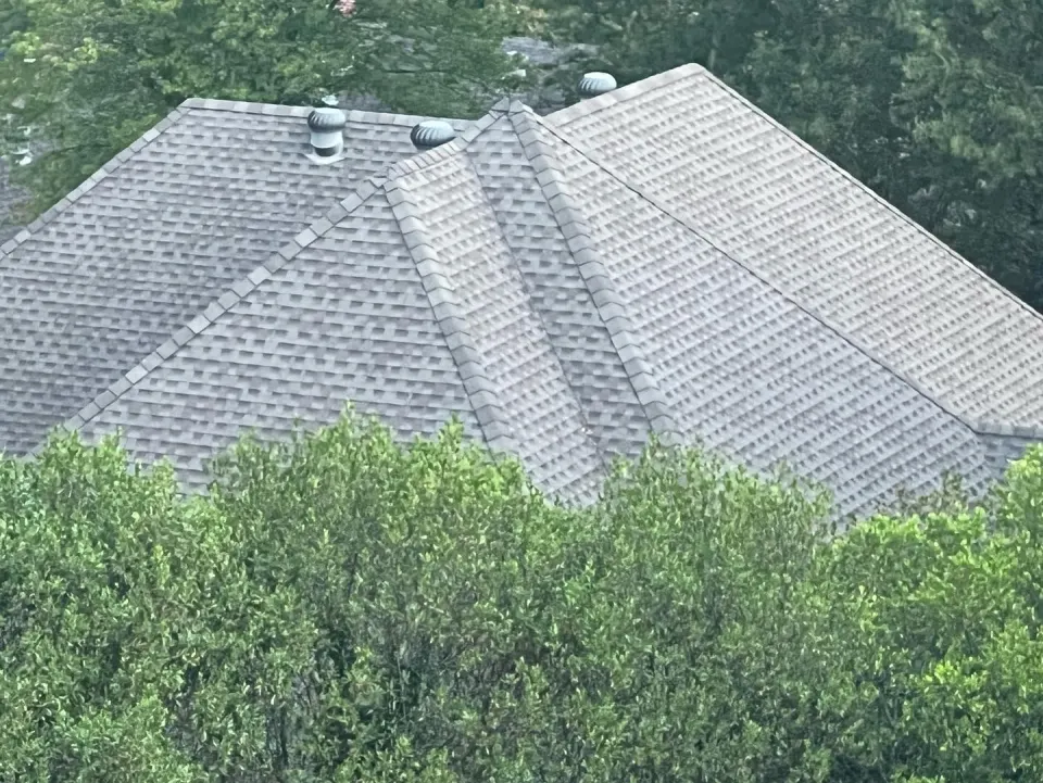 Hip roof replacement surrounded by trees